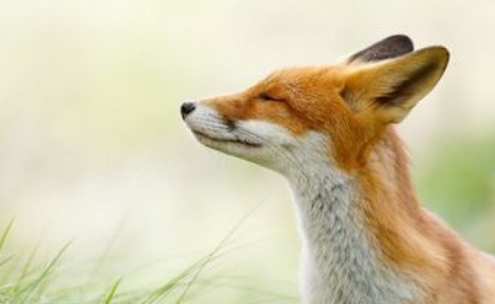 Jacqui White, CPCC Mindful~Life&nbsp;Coaching